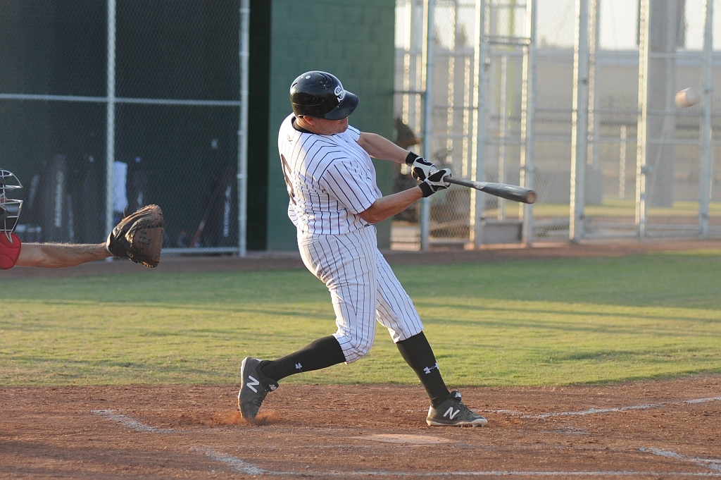 Seals_2019-08-21 (422).JPG - (c)2010 DeVetter